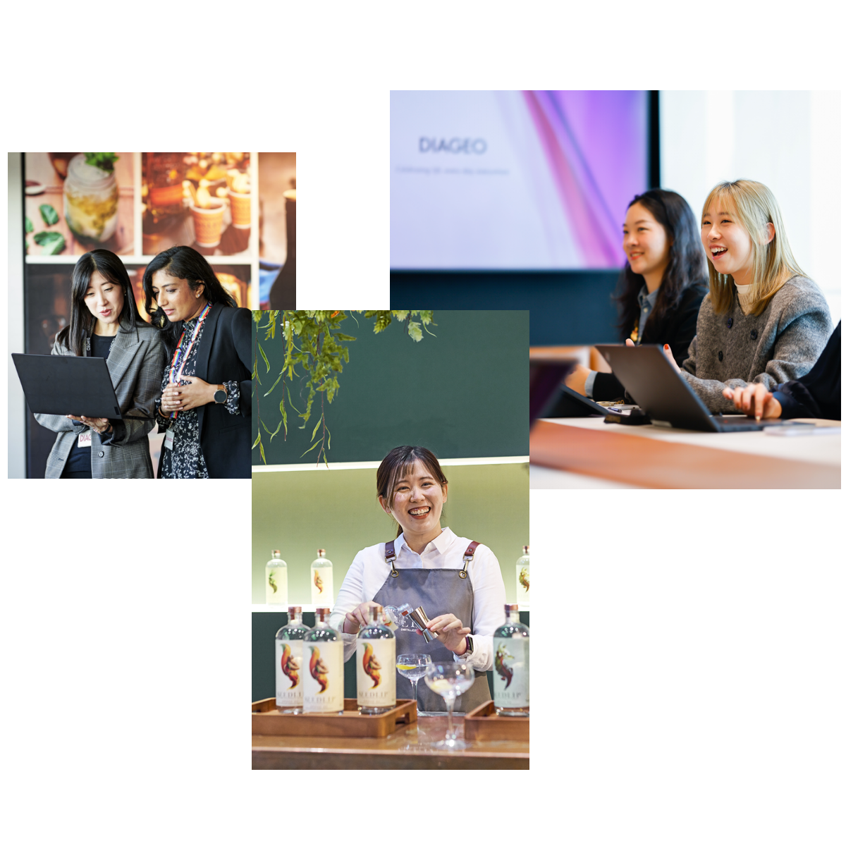 Making a global impact